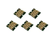 Single-Use Chips (set of 5) for EPSON 33, 33XL (EUROPEAN VERSION)