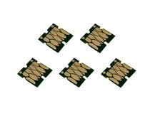Single-Use Chips (set of 5) for EPSON 33, 33XL (EUROPEAN VERSION)